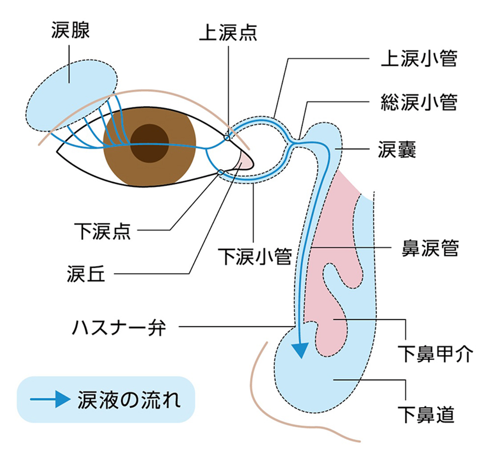 涙道内視鏡⼿術 | 下田眼科